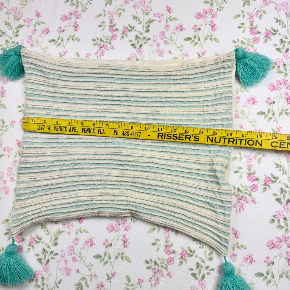 Pier 1 Mint & Ivory Woven Striped Decorative Throw Pillow‎ Case with Tassels